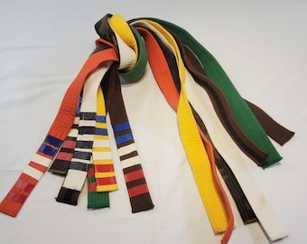 Martial Sports Arts Karate Taekwondo Judo Belts Multicolor - Set of 7
