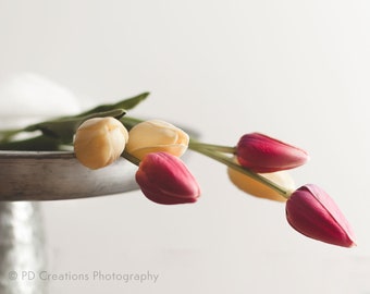 Pink and Yellow Tulips Fine Art Print | Still Life Photography | Fine Art Photography | Wall Décor | Gift | Photograph | Pink | Yellow