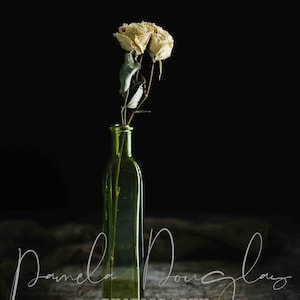 DRIED PEONIES IN Tall Green Vase Photograph | Still Life Photo | Fine Art Photography | Moody Photography | Wall Décor | Gift | Photograph