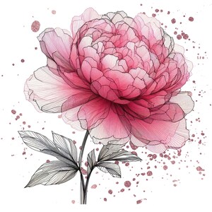 PINK PEONY png | png for Sublimation | Instant Download
