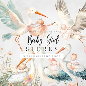 Stork And Baby Clipart, Stork With Baby PNG, Baby Shower Clip Art, Watercolour Newborn Illustration,  Nursery Graphics, Commercial Use