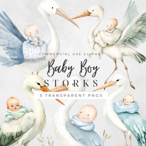 Stork And Baby Clipart, Stork With Baby PNG, Baby Shower Clip Art, Watercolour Newborn Illustration,  Nursery Graphics, Commercial Use