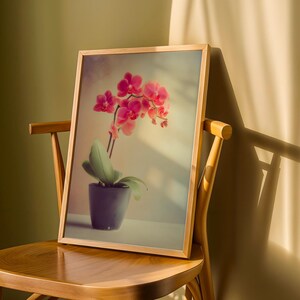 May include: A framed print of a pink orchid in a dark gray pot. The artwork is displayed on a wooden chair, with the frame's light wood color contrasting with the orchid's vibrant blooms. The image is lit by sunlight.