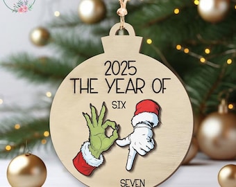Divertente ornamento natalizio dell'anno 67, regalo umoristico