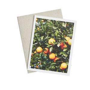 Citrus Grove Card