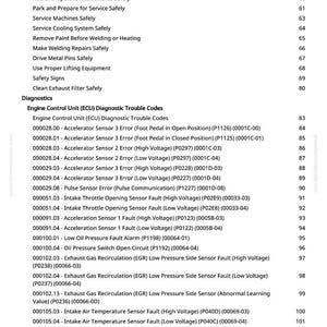 Pu&ograve; includere: Una pagina di manuale con codici di diagnostica per l'Unit&agrave; di Controllo Motore (ECU). Il testo include codici per sensori di accelerazione, sensori di impulso e altri componenti del motore. La pagina elenca anche le linee guida di sicurezza.