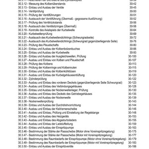 May include: A detailed table of contents in German, listing various engine repair procedures. The document includes sections on cylinder heads, valves, crankshafts, and fuel systems. The page numbers are listed on the right.