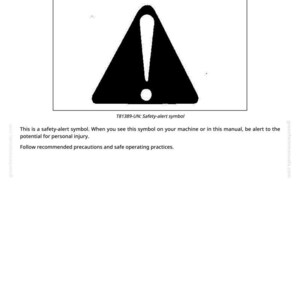 May include: A black and white safety alert symbol, a triangle with an exclamation point inside. The text "Recognize Safety Information" is above the symbol. Below the symbol is the text "T81389-UN: Safety-alert symbol".