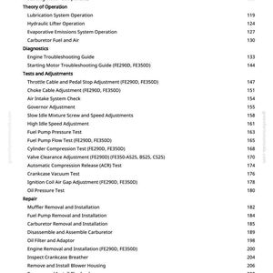 Pu&ograve; includere: Una pagina di manuale con un sommario per componenti del sistema di alimentazione, diagnostica, test, regolazioni e procedure di riparazione. Il testo &egrave; in nero e include i numeri di pagina.