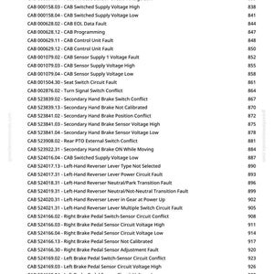 Pu&ograve; includere: Un documento intitolato "CAB Code Diagnostics" elenca vari codici diagnostici e le loro descrizioni. Il testo &egrave; nero su sfondo bianco, con un indirizzo web verde nell'angolo in alto a sinistra. Il documento include un elenco di codici e i relativi numeri.