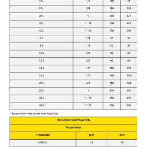 May include: A white chart with black text detailing torque values for hex socket head plugs. The chart includes thread sizes, torque values in N-m and lb-ft, and other specifications.