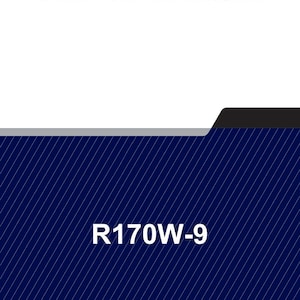 Pu&ograve; includere: Un manuale di servizio con la scritta "SERVICE MANUAL" in grassetto, lettere nere in alto. La sezione inferiore presenta il testo "R170W-9" in bianco, con sfondo blu scuro e linee diagonali bianche.