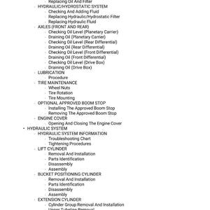 Pu&ograve; includere: Un elenco di procedure di manutenzione per una macchina, tra cui lubrificazione del motore, sistemi idraulici, assali, manutenzione pneumatici e operazioni del cilindro di sollevamento. Testo nero su sfondo bianco.