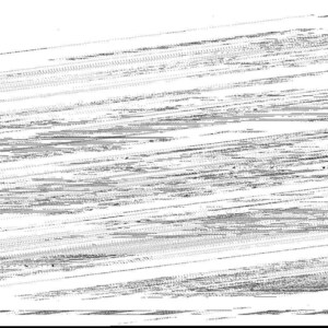 Puede incluir: Imagen abstracta en blanco y negro con l&iacute;neas y texturas diagonales. La imagen tiene una apariencia de alto contraste, con densidades variables de l&iacute;neas que crean una sensaci&oacute;n de profundidad y movimiento. El efecto general es un dise&ntilde;o gr&aacute;fico din&aacute;mico.