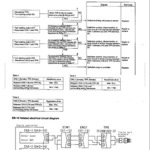 Op de afbeelding: Een probleemoplossingsdiagram voor de EB-19 foutcode, gerelateerd aan de brandstofrail druksensor. Het diagram bevat stroomdiagrammen, tabellen met weerstandswaarden en een elektrisch schema voor motorcontrollers.