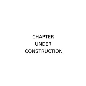 Puede incluir: Fondo blanco con el texto negro "CHAPTER UNDER CONSTRUCTION" centrado. El texto est&aacute; en una fuente sencilla, sin serifa, creando una imagen minimalista.