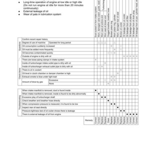 May include: Troubleshooting guide for excessive oil consumption in an engine, with a table detailing causes and remedies. Includes a list of potential issues like external oil leakage and wear in the lubrication system.