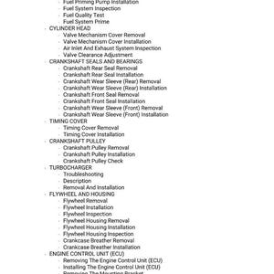 Puede incluir: Una lista detallada de procedimientos de reparaci&oacute;n automotriz, que incluye servicios del sistema de combustible, culata, cig&uuml;e&ntilde;al, tapa de distribuci&oacute;n y unidad de control del motor. Texto negro sobre fondo blanco.