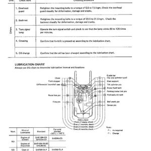 Pu&ograve; includere: Un diagramma dettagliato della procedura di manutenzione per un carrello elevatore, con sezioni su controllo e regolazione. Include un diagramma di lubrificazione con schemi e specifiche.