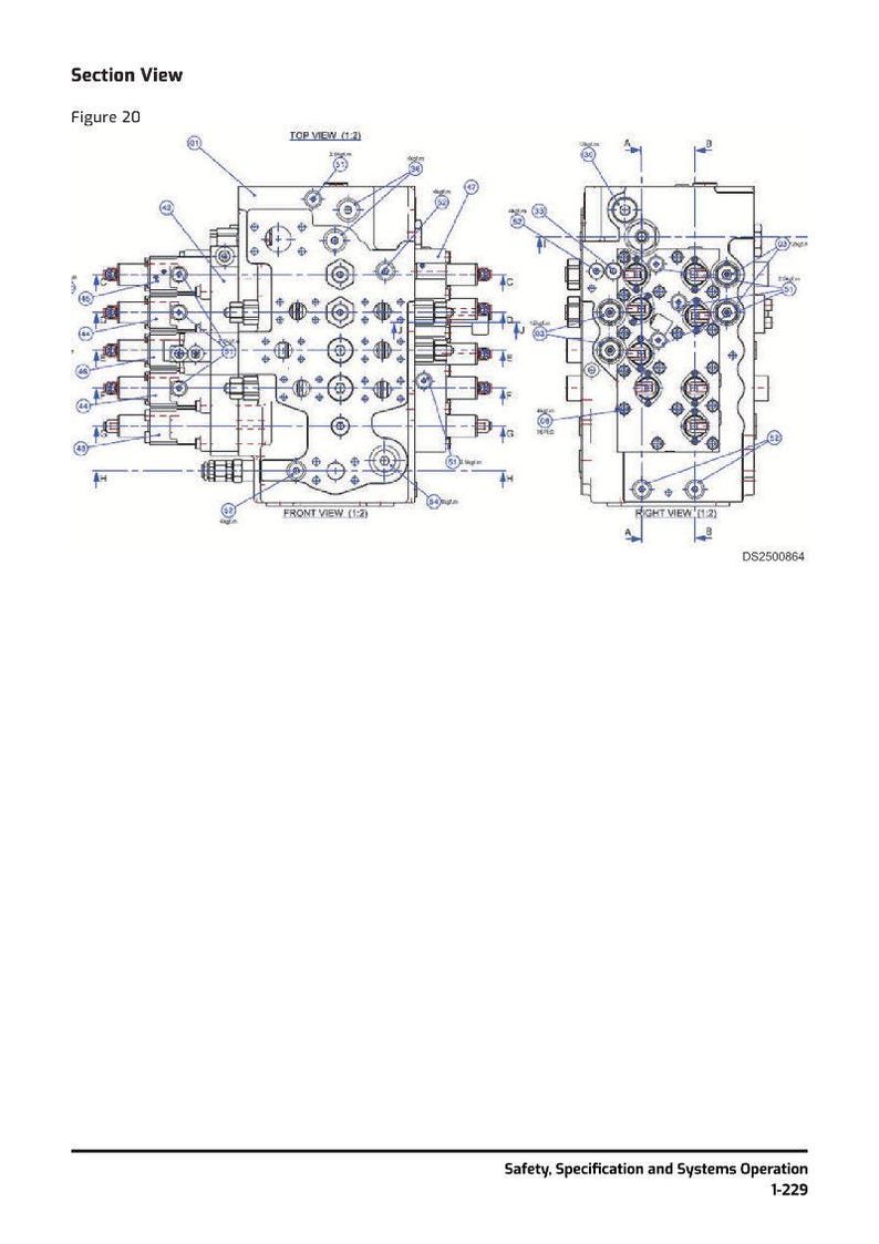 May include: Technical diagram of a mechanical component, labeled "Section View" and "Figure 20." The diagram shows front and right views, with detailed internal structures and labels. The text "DS2500864" is visible. The diagram is part of a document titled "Safety, Specification and Systems Operation."