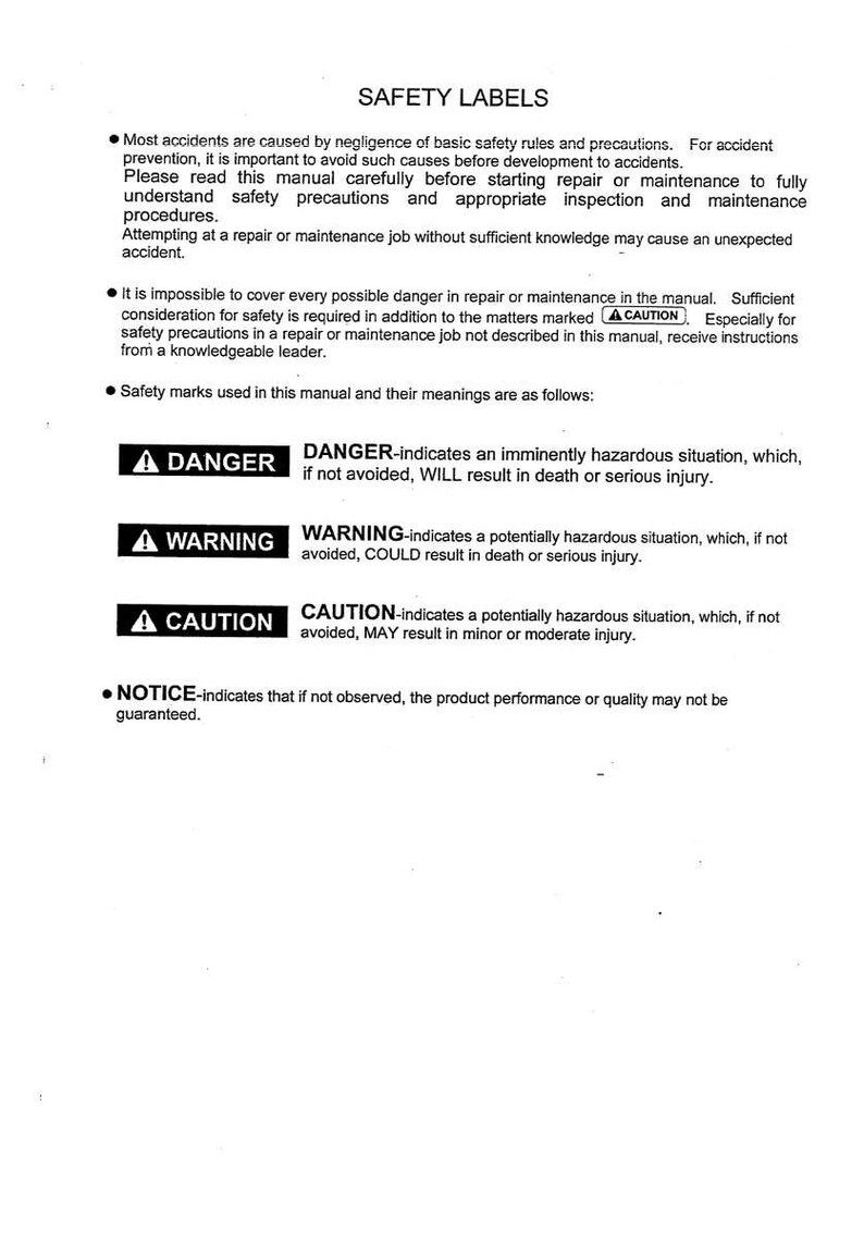 May include: A white document titled "SAFETY LABELS" with safety warnings and definitions. Includes "DANGER", "WARNING", "CAUTION", and "NOTICE" labels with explanations of potential hazards and consequences.