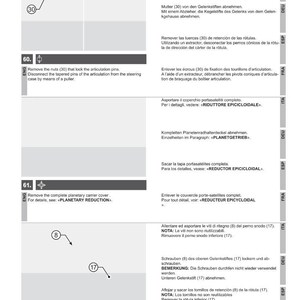 May include: Diagram of a steering case disassembly process, featuring numbered steps and illustrations. Text in English, German, Spanish, French, and Italian provides instructions for removing parts and components. The image includes the DANA logo.