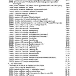 May include: A page from a technical manual, titled "INHALT," detailing automotive engine components and procedures. The table of contents lists items like pump removal, sensor installation, and other engine-related tasks.