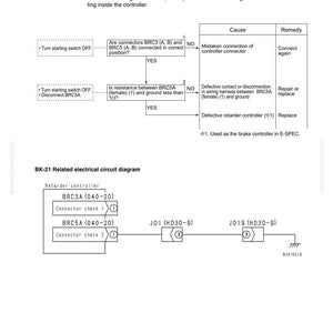 May include: A troubleshooting diagram for a BK-21 failure code, detailing potential causes and remedies. The diagram includes flowcharts and electrical circuit diagrams, with text in English. The document is labeled "Troubleshooting" at the top.