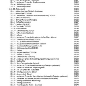 Pu&ograve; includere: Un sommario dettagliato di un manuale tecnico, che elenca vari componenti e procedure automobilistiche. Il testo &egrave; in tedesco, con voci come "AdBlue Tank" e "Filtro carburante", insieme ai numeri di pagina corrispondenti.