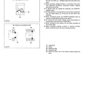 Op de afbeelding: Diagrammen die het aanbrengen van vet op een oliekeerring en de installatie van borgveren illustreren. De afbeelding bevat genummerde labels en tekst met algemene waarschuwingen voor motoronderhoud en reparatieprocedures.
