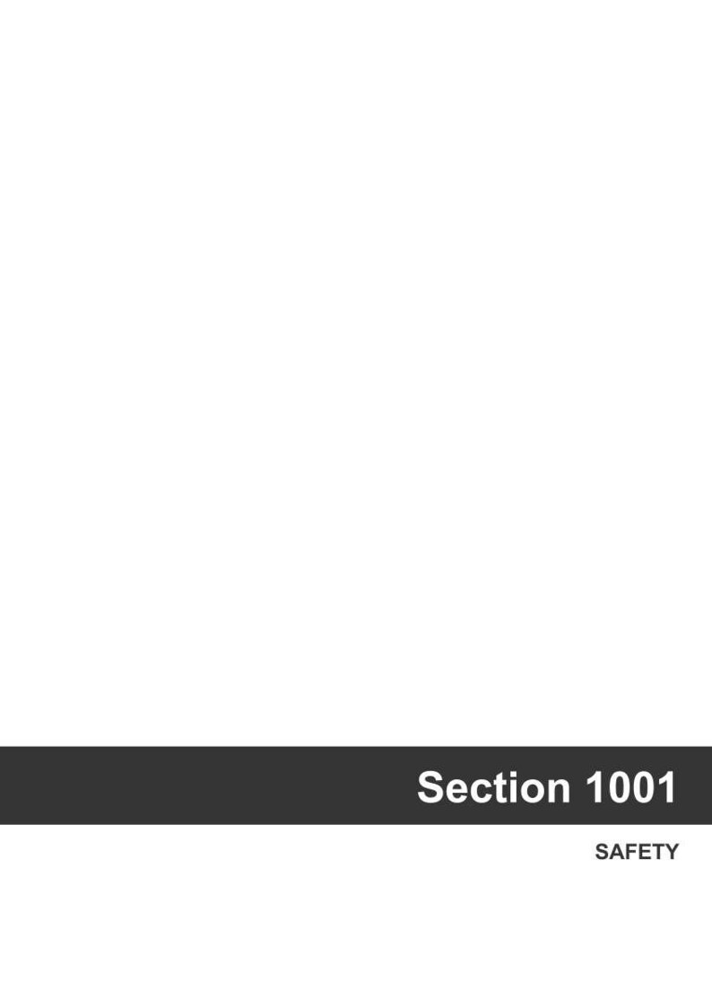 May include: A graphic with the text "Section 1001" in white, bold font, and the word "SAFETY" below it. The text is on a dark gray rectangular background.