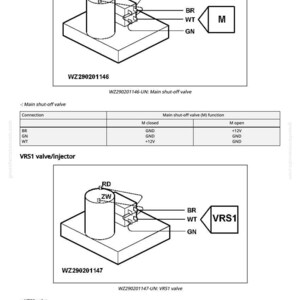 May include: Diagram of a main shut-off valve and VRS1 valve/injector. The image includes technical drawings with labels such as BR, WT, and GN, along with the text "WZ290201146" and "WZ290201147".