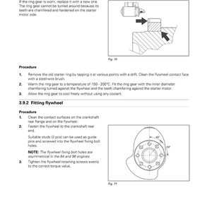 Pu&ograve; includere: Diagramma tecnico che illustra la procedura per la sostituzione della corona dentata di avviamento su un volano. Include istruzioni e illustrazioni per il montaggio del volano, con misure in gradi.
