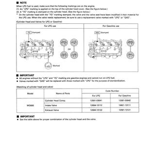 May include: Diagram showing engine cylinder head markings for LPG fuel, with "LPG" and "7G" stamps. Includes a table detailing parts and code numbers for LPG and petrol engines. Text reads "PRECAUTION FOR LPG FUEL" and "Use of LPG Fuel."