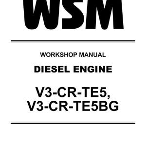 May include: A white page with black text. The text reads "WSM" at the top, followed by "WORKSHOP MANUAL" and "DIESEL ENGINE." Below, it lists "V3-CR-TE5, V3-CR-TE5BG." The bottom right corner has small text.