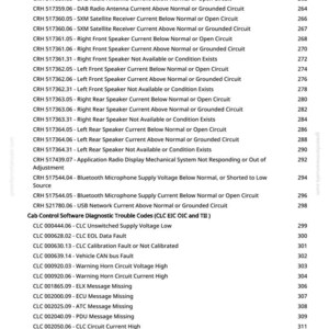May include: A document with a list of diagnostic trouble codes for a vehicle's cab control software. The codes include issues related to voltage, antenna currents, speaker circuits, and message missing errors. The document has a white background.