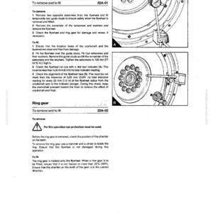 May include: A manual page with instructions for removing and fitting a flywheel, including diagrams and measurements. The page is numbered 22 and features safety warnings about eye protection.