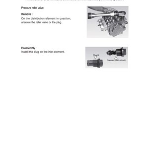 May include: Diagram of a distribution element repair procedure. The image includes text instructions for secondary valves replacement, pressure relief valve removal, and reassembly. It also shows images of the parts involved.