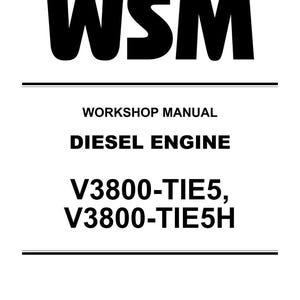 May include: A white document with black text. The text reads "WSM" at the top, followed by "WORKSHOP MANUAL" and "DIESEL ENGINE." Below, it lists "V3800-TIE5, V3800-TIE5H." The document is labeled "KiSC issued 01, 2020 A."