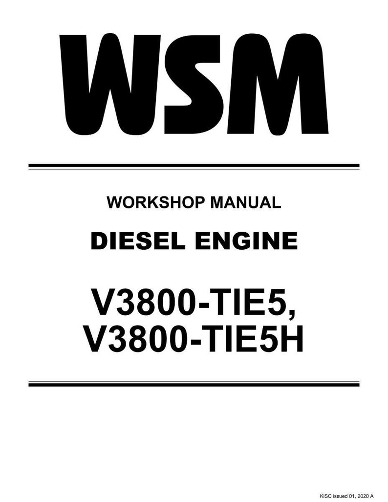 May include: A white document with black text. The text reads "WSM" at the top, followed by "WORKSHOP MANUAL" and "DIESEL ENGINE." Below, it lists "V3800-TIE5, V3800-TIE5H." The document is labeled "KiSC issued 01, 2020 A."