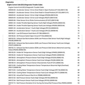 May include: A white page with a list of engine control unit (ECU) diagnostic trouble codes. The codes are organized numerically and include descriptions such as "Accelerator Sensor 3 Error" and "Intake Air Temperature Sensor Fault."