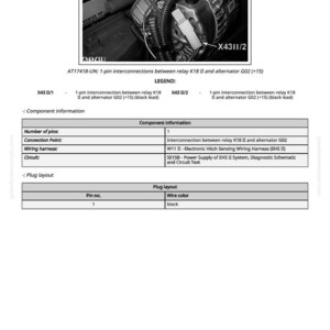 May include: Black and white image of automotive electrical components with text labels. The image includes diagrams and a table detailing pin layout and wire color. The text reads "AT17418-UN" and "X43II/1".