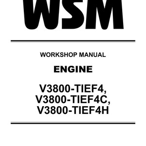 Puede incluir: Documento blanco con texto negro. La parte superior del documento dice "WSM" en letras en negrita. Debajo, el texto dice "WORKSHOP MANUAL ENGINE" y enumera los n&uacute;meros de modelo de motor V3800-TIEF4, V3800-TIEF4C y V3800-TIEF4H.