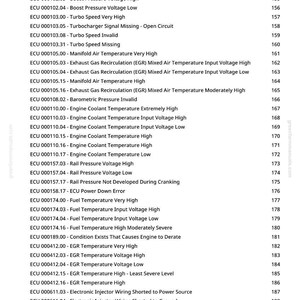 Op de afbeelding: Een witte pagina met een lijst van diagnosecodes voor de motorregeleenheid (ECU) en beschrijvingen. De codes hebben betrekking op motoroliedruk, turbosnelheid en brandstoftemperatuur. De pagina bevat ook een websiteadres.