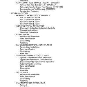May include: A detailed technical document with a list of procedures and schematics for machine maintenance and repair. The document includes sections on hydraulic systems, boom cylinders, and extension cylinders, with specific part numbers and serial numbers.