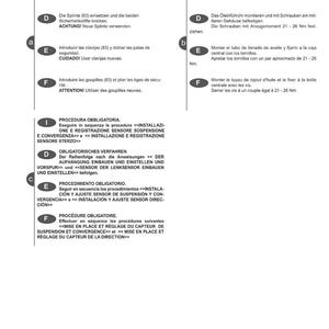 May include: A multilingual instruction sheet with text and diagrams. The document provides guidance on automotive procedures, with sections in Italian, German, and Spanish. The DANA logo is visible.
