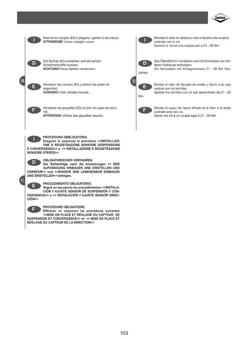 May include: A multilingual instruction sheet with text and diagrams. The document provides guidance on automotive procedures, with sections in Italian, German, and Spanish. The DANA logo is visible.