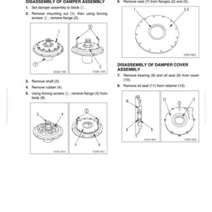 Pu&ograve; includere: Diagramma di smontaggio del gruppo ammortizzatore, che mostra la rimozione del dado di montaggio, della flangia, dell'albero e della guarnizione. Illustrazioni dettagliate con componenti numerati.