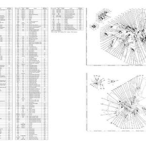 May include: A black and white technical drawing with multiple columns of text and several diagrams. The diagrams feature radial lines emanating from central points, creating a complex visual representation. The image is a detailed illustration.