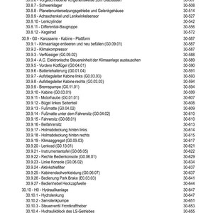 Pu&ograve; includere: Un dettagliato sommario in tedesco, che elenca vari componenti e sistemi automobilistici. Il documento include sezioni su assali, freni e sistemi elettrici, con i relativi numeri di pagina. Si tratta di un manuale tecnico.